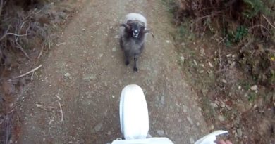 bélier vs motocross