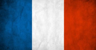Ventes motos en France
